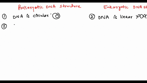 classify-each-feature-a5-describing-prokaryotic-dna-struclire-eukaryolic-dna-structure-eukaryotic-dna-structure-prokaryotic-dna-structune-answct-bank-tcpmoe-iconcn-ijnaisrruli-ireinued-malma-23395
