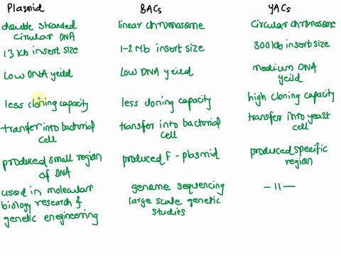 compare-and-contrast-different-cloning-vectors-including-plasmids-bacterial-artificial-chromosomes-and-yeast-artificial-chromosomes-10648