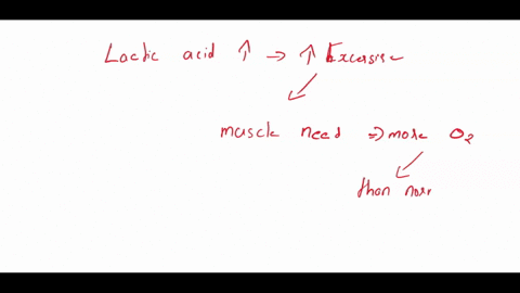 why-did-the-mouse-lactic-acid-level-increase-under-the-low-oxygenhigh-exercise-intensity-condition-11223