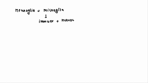 1-the-cellular-unit-of-the-nervous-system-is-the-neuronwhat-is-the-major-function-of-this-cell-type-2the-supporting-cellsor-neurogliahave-numerous-functionsname-three-69854