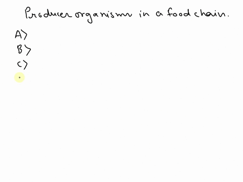 which-of-the-following-eat-producer-organisms-in-a-food-chain-a-quarternary-consumer-b-tertiary-consumer-c-primary-consumer-d-secondary-consumer-32506