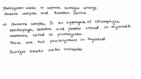 explain-how-photosystem-works-capture-sunlight-energy-make-sure-to-include-the-antenna-complex-und-reaction-center-in-vour-jiswet-07487