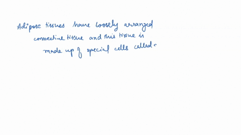 which-of-the-following-is-not-associated-with-fibrous-connective-tissue-a-adipose-tissue-b-reticular-and-areolar-fibers-c-hyaline-cartilage-d-tendons-and-ligaments-you-are-examining-muscle-t-03355