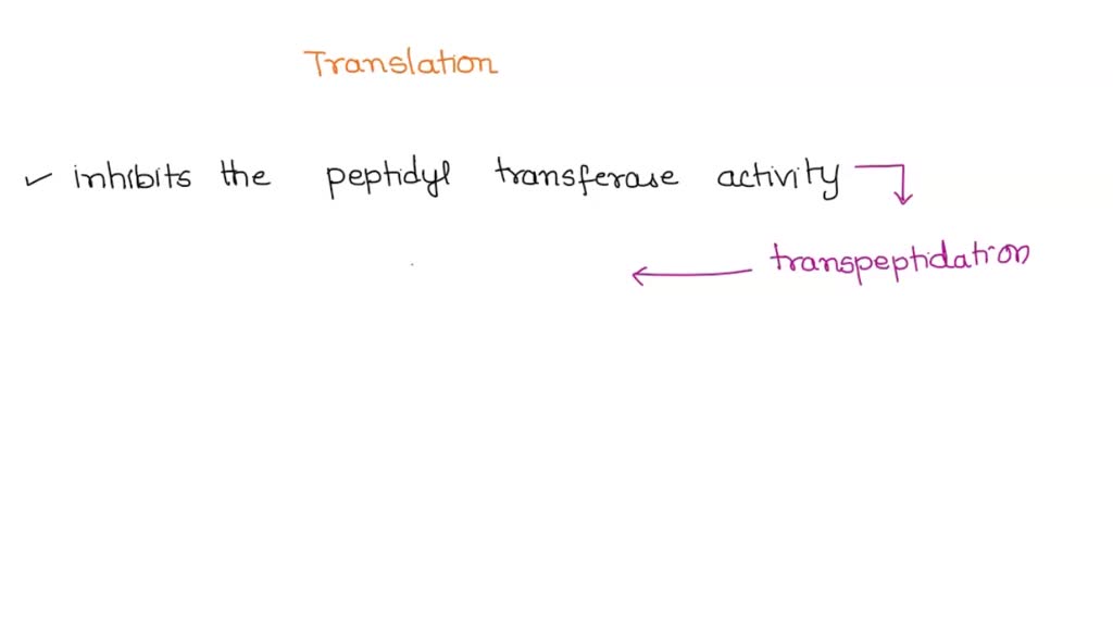 solved-you-have-to-design-compounds-that-interfere-with-translation