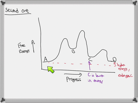 c0310305629-more-stable-than-the-transition-irom-to-b-is-the-rate-determining-step-and-the-most-the-overall-reaction-below-endergonic-which-reaction-coordinate-diagram-applics-this-reaction-00146