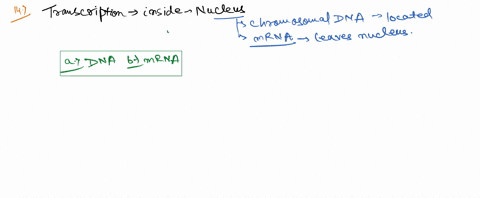 12-the-nucleic-acid-found-primarily-in-a-cells-nucleus-is-a-dna-b-mrna-c-trna-d-rrna-e-more-than-one-choice-is-correct-13-replication-of-dna-produces-two-daughter-dna-molecules-in-which-a-on-78971