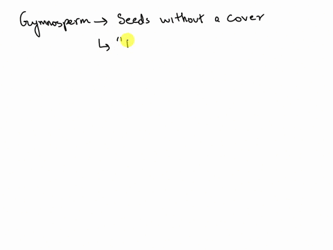 which-of-the-following-would-be-considered-a-gymnosperm-select-one-a-apple-trees-b-conifer-trees-c-oak-trees-d-maple-trees-70208
