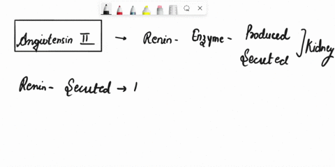 question-15-what-is-the-resulting-ettect-of-renin-being-released-by-the-angiotensin-il-is-tormed-kidney-aldosterone-inhibited-macula-densa-sends-paracrine-message-to-alterent-etterent-arteri-67241