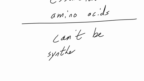 begintabularl-128-to-to-concept-of-essential-amino-acids-is-directly-linked-begintabularll-hline-1-the-ability-of-the-body-to-synthesize-them-hline-2-the-dietary-requirements-of-an-organism-hline-3-th