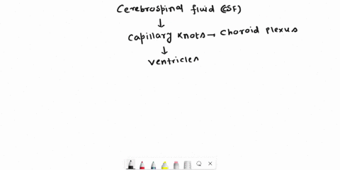 iii-cerebrospinal-fluid-story-please-complete-a-cerebrospinal-fluid-is-formed-by-capillary-knots-called-which-hang-into-the-of-the-brainordinarily-cerebrospinal-fluid-flows-from-the-lateral-89981