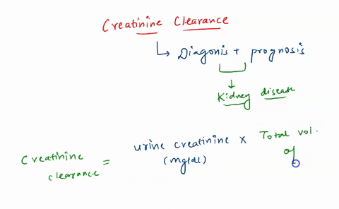 33-calculate-creatinine-clearance-and-hence-an-estimate-of-glomerular-filtration-rate-gfr-for-an-adult-man-from-the-data-below-6-marks-urine-creatinine-u-200-mgldl-24-hour-urine-volume-1-44-40752