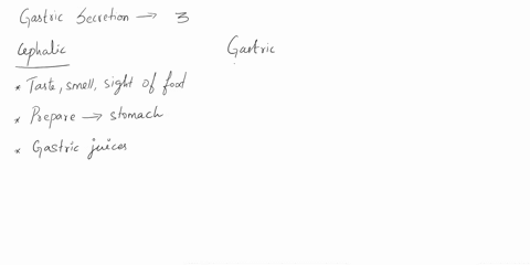 what-are-the-phases-of-gastric-secretion-list-them-and-give-a-brief-explanation-about-each-one-71004