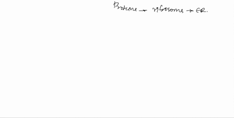 which-of-the-following-proteins-are-translated-on-ribosomes-attached-to-the-er-select-all-that-apply-a-a-protein-that-resides-in-the-chloroplast-b-a-protein-that-resides-between-the-inner-an-74203