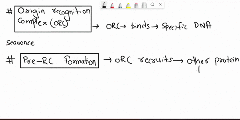 how-does-replication-licensing-ensure-that-dna-is-replicated-only-once-at-each-origin-per-eukaryotic-cell-cycle-64263