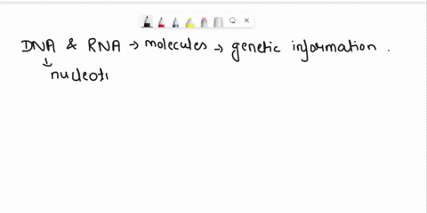 dna-and-rna-are-examples-of-what-a-nucleic-acids-b-lipids-c-carbohydrates-33974