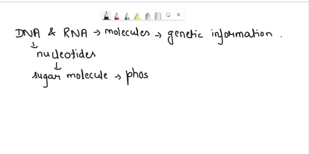 SOLVED DNA and RNA are examples of what? A. Nucleic Acids B. Lipids C. Carbohydrates