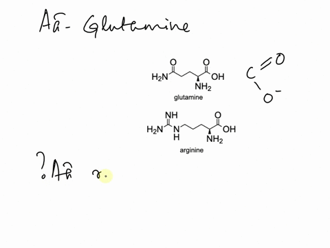 yuc-mata-4-pum-the-amino-acid-glutamine-has-a-region-of-its-r-group-has-a-double-bonded-0-with-a-partial-negative-charge-what-amino-acid-will-glutamine-most-likely-interact-with-to-promote-p-04262
