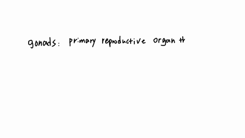 why-are-the-ovaries-known-as-the-female-gonads