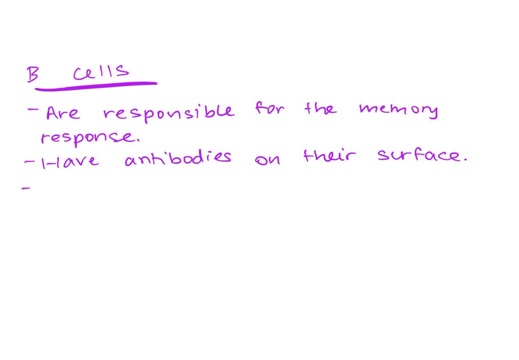 SOLVED Question 35 2 pts All of the following are characteristics of B