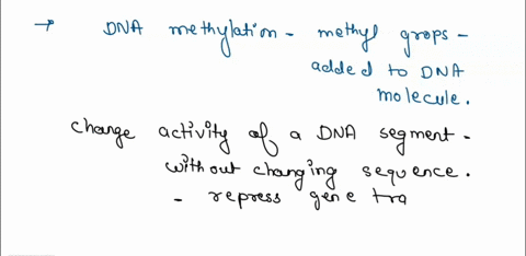 question-31-which-statement-describes-a-function-of-the-addition-of-methyl-groups-to-dna-methylation-is-used-by-e-coli-as-part-of-a-defense-mechanism-to-distinguish-its-dna-from-foreign-dna-42661