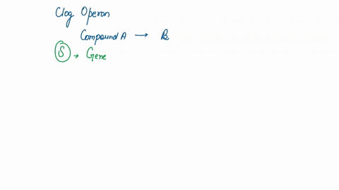 5-the-clog-operon-produces-enzymes-that-convert-compound-a-into-compound-b-the-operon-is-controlled-by-a-regulatory-gene-s_-normally-the-enzymes-are-synthesized-only-in-the-presence-of-a-thi-64253