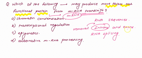 which-of-the-following-may-produce-more-than-one-functional-protein-from-an-mrna-transcript-a-chroma-58185
