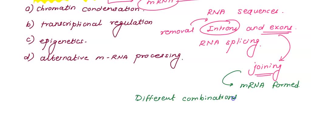 SOLVED: The potential points of regulation are included EXCEPT A ...