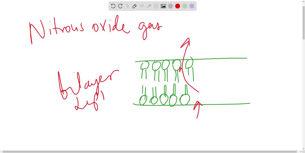 SOLVED Nitrous facilitated osmosis diffusion active cotransport oxide