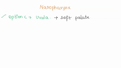 which-of-the-following-is-the-inferior-boundary-of-the-nasopharynx-hyoid-bone-internal-nares-uvula-cricoid-cartilage-14904