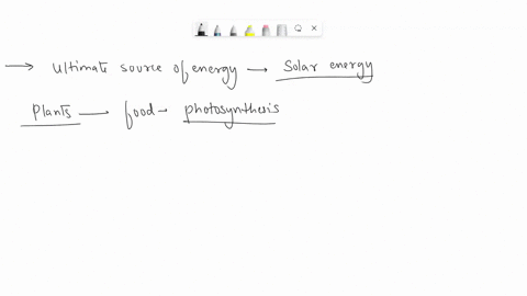 givr-reason-for-the-following-sun-is-the-ulitmate-source-of-energy-for-all-living-organisms-31658