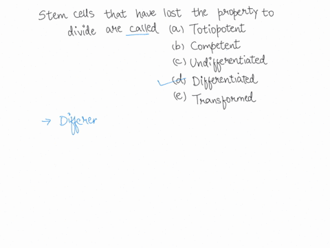 stem-cells-that-have-lost-the-ability-to-divide-are-called-totipotent-competent-undifferentiated-d-differentiated-transformed-15423
