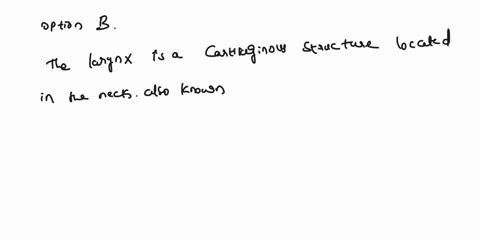 which-of-the-following-statements-accurately-defines-larynx-a-portion-of-the-trachea-that-is-highly-sensitive-b-cartilage-framed-region-of-the-respiratory-tract-within-the-thoracic-cavity-th-15137