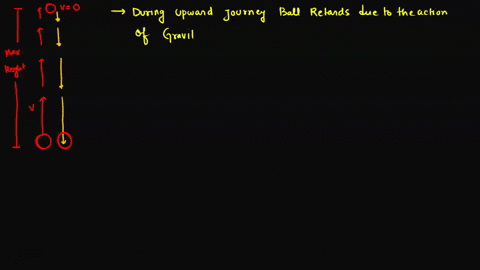 a-ball-that-is-thrown-upwards-from-the-ground-will-eventually-reach-its-highest-point-and-fall-back-to-the-ground-which-one-of-the-following-vector-quantities-is-always-directed-in-the-same-48806
