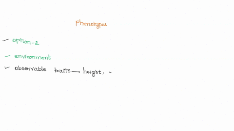 phenotypes-are-generally-a-product-of-two-or-more-genes-in-combination-with-each-other-the-genotype-in-combination-with-the-environment-pleitropic-effects-of-a-single-gene-incomplete-dominan-61077
