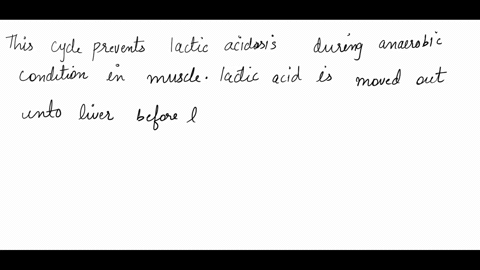 why-is-lactate-formed-in-the-muscle-converted-to-glucose-in-the-liver-75175