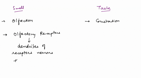 compare-and-contrast-our-senses-of-smell-and-of-taste-06345