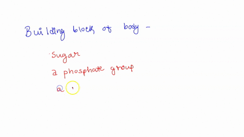 a-sugar-a-phosphate-group-and-a-nitrogen-base-form-the-building-blocks-of-which-organic-compound-a-carbohydrates-b-lipids-c-nucleic-acids-d-proteins-43173