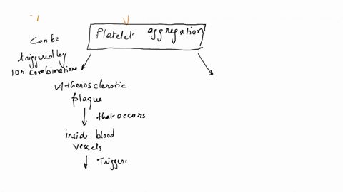 warfarin-is-commonly-prescribed-to-reduce-risk-of-future-strokes-complete-the-following-diagram-that-summarises-the-clotting-cascade-as-this-is-targeted-by-her-warfarin-treatment-hint-your-l-67613