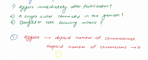 let-x-be-the-amount-of-dna-present-in-the-gamete-of-an-organism-that-has-a-diploid-chromosome-number-of-4-assuming-all-chromosomes-to-be-of-approximately-the-same-size-how-much-dna-x-2x-05x-55946