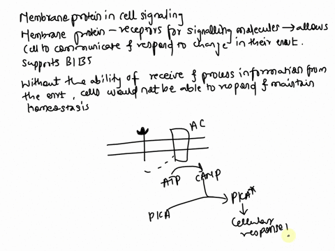 hi-i-have-to-write-a-chapter-reflection-so-my-profeser-ask-me-to-give-an-example-and-relate-that-to-the-bibbig-ideas-in-biology-can-you-please-provide-an-example-in-this-chapter-we-are-talki-75583