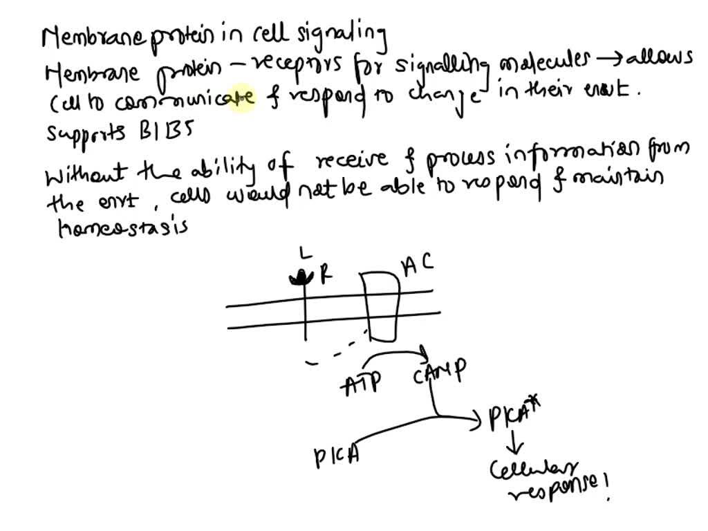 Solved ofrespond with its correct definition. Not all forms