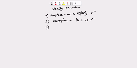 clear-my-choice-which-one-of-the-following-represents-a-mismatch-or-incorrect-description-0-a-prophase-chromosomes-become-more-tightly-coiled-0-b-metaphase-chromosomes-line-up-on-the-equator-45986