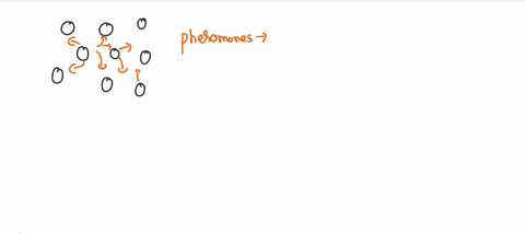 chemical-signals-that-convey-information-among-members-of-a-species-are-a-pheromones-b-hormones-c-ne-84622
