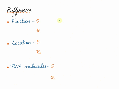 in-what-ways-are-spliceosomes-and-ribosomes-similar-in-what-ways-are-they-different-can-you-suggest-94364