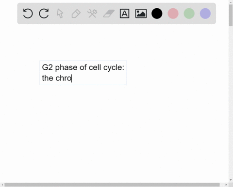 if-an-organism-is-diploid-and-has-32-chromosomes-how-many-chromatids-or-chromosomes-would-it-have-in-the-g2-phase-of-the-cell-cycle-128-none-of-the-choices-are-correct-41172