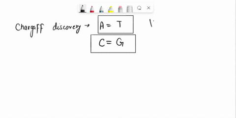 12-it-became-apparent-to-watson-and-crick-after-completion-of-their-mode-that-the-dna-molecule-could-cafry-vast-amount-ofhereditary-informaticn-in-which-ofthe-following-a-sequence-ofbases-b-96816