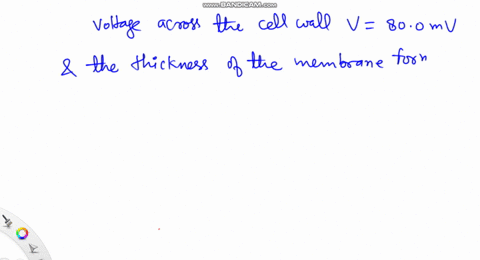 the-voltage-across-a-membrane-forming-a-cell-wall-is-800-mv-and-the-membrane-is-900-nm-thick-what-is-the-electric-field-strength-the-value-is-surprisingly-large-but-correct-membranes-are-discussed-i-2