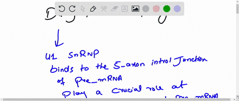 which-of-the-following-spliceosomal-components-specifically-recognizes-and-binds-to-the-branch-point-of-the-intron-during-pre-mrna-splicing-a-u1-b-u2-c-u5-d-u6-e-spliceosomal-proteins-03102