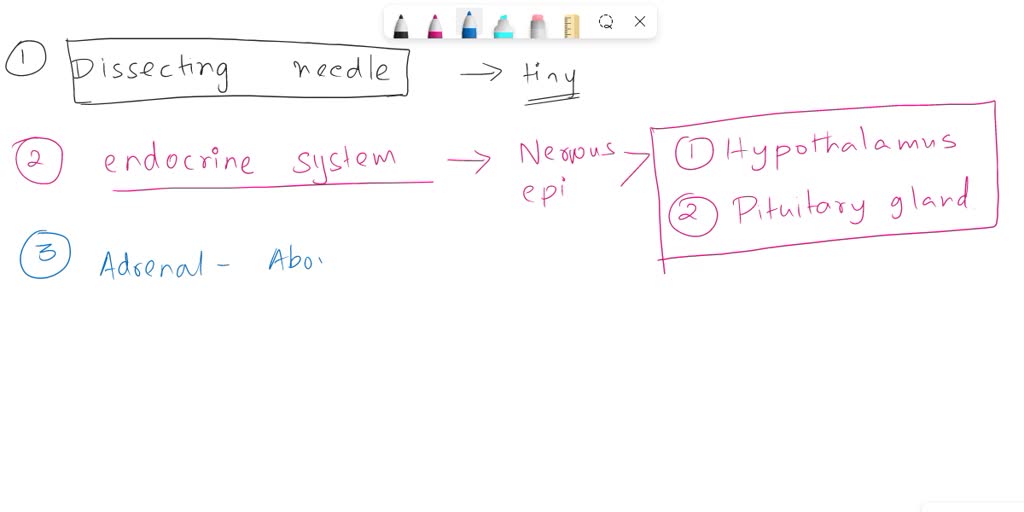 SOLVED The Endocrine System thich dissecting tools should be used for