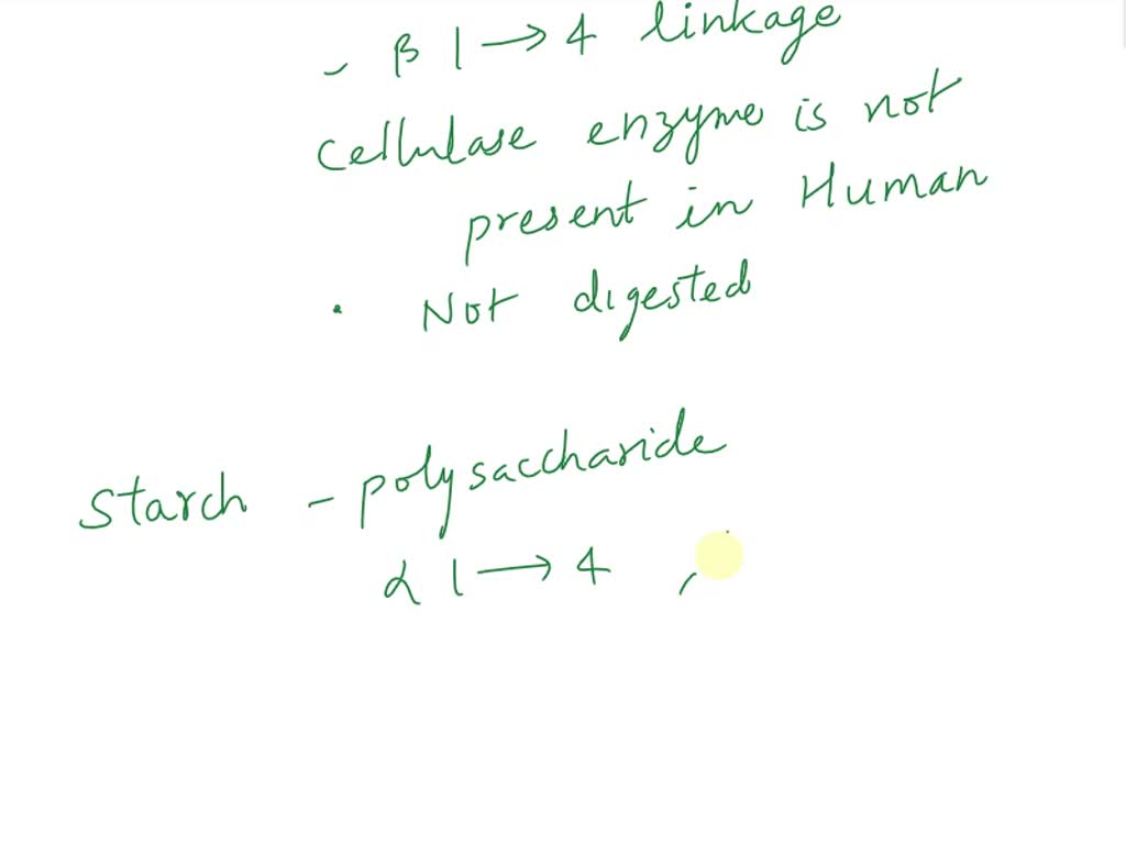 SOLVED Both cellulose and starch are composed of many glucose